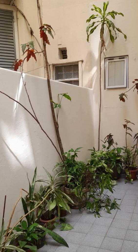 شقة Baires Art Deco بوينس آيرس المظهر الخارجي الصورة